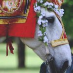 Wedding Video_thehonestshruth
