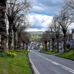 The Cotswolds