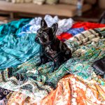Ubud_Pictures -0515