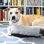 My Big Lots Library Makeover