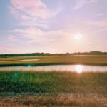 Processed with VSCO with k3 preset