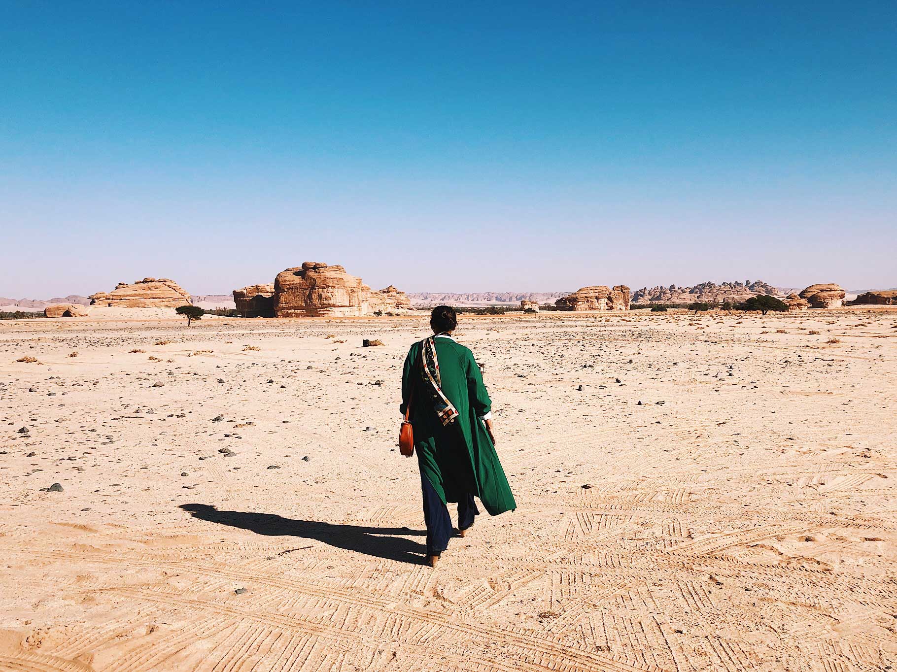 Banner_desert thehonestShruth