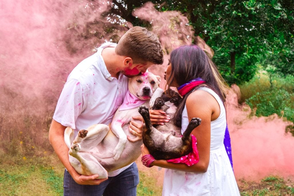 Gender Reveal Pink Smoke Bombs with Dogs