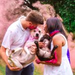 Gender Reveal Pink Smoke Bombs with Dogs