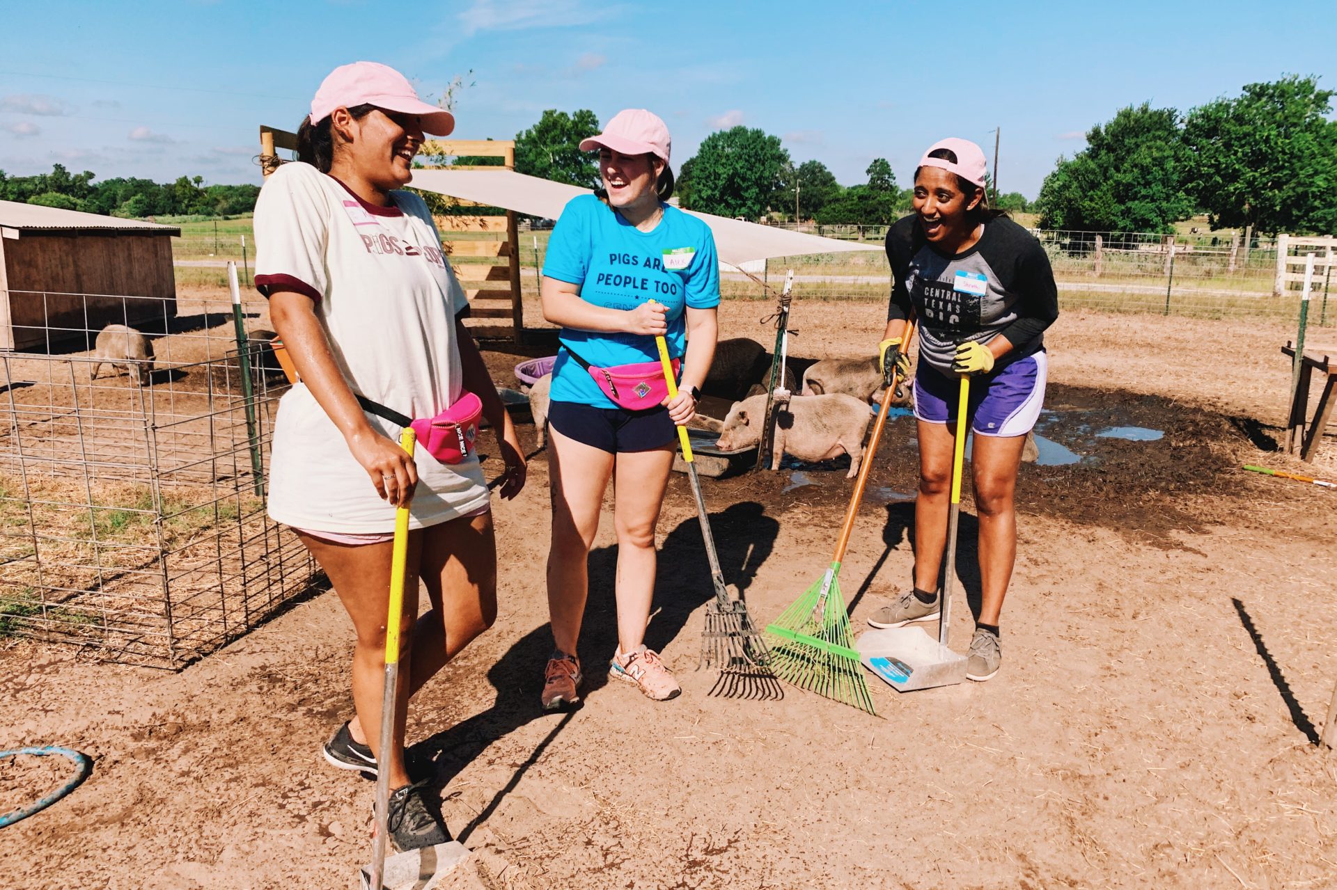 Volunteering with Central Texas Pig Rescue and Why Generosity Breeds
