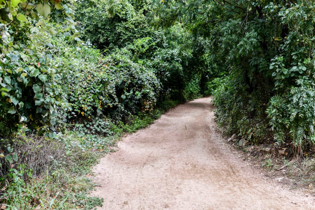 Lady Bird Lake Trail