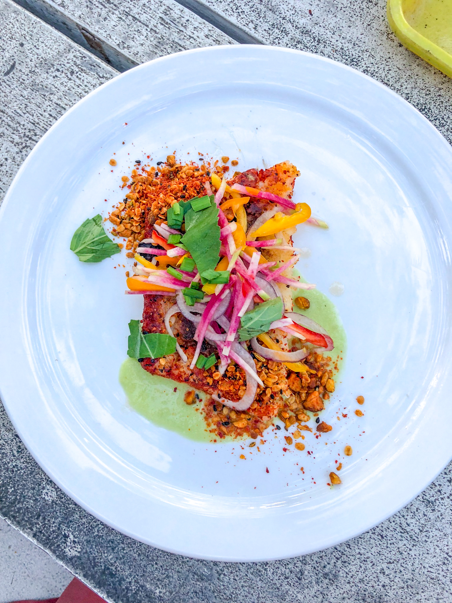 A Beginner's Guide to Going Vegan - thehonestShruth