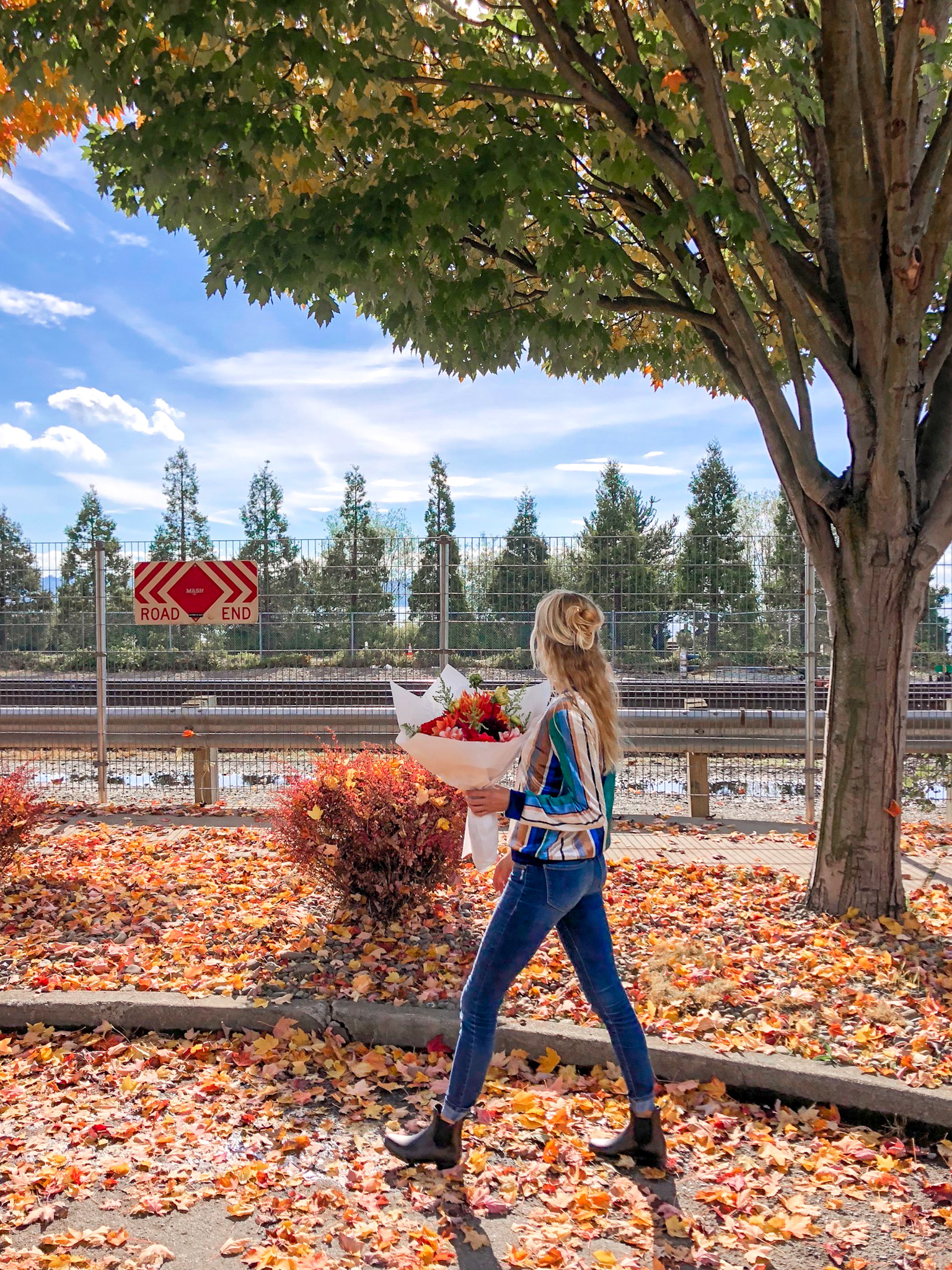 A Beginner's Guide to Going Vegan - thehonestShruth