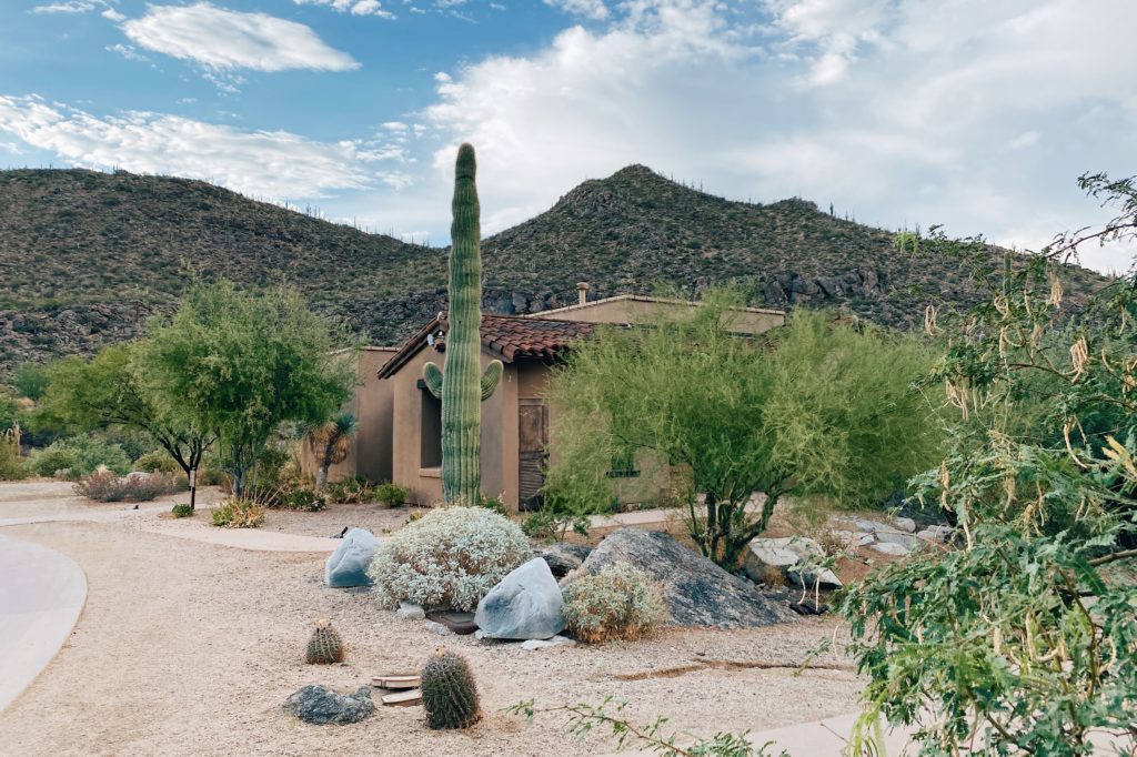 Dove Mountain Casita