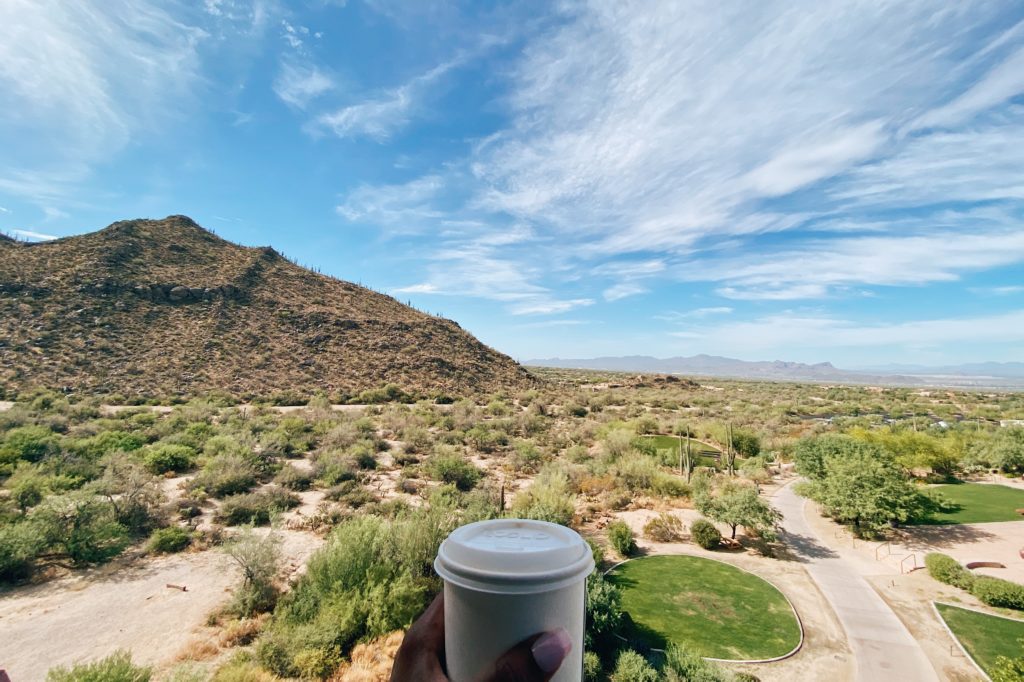 Things To Do At Or Nearby Dove Mountain