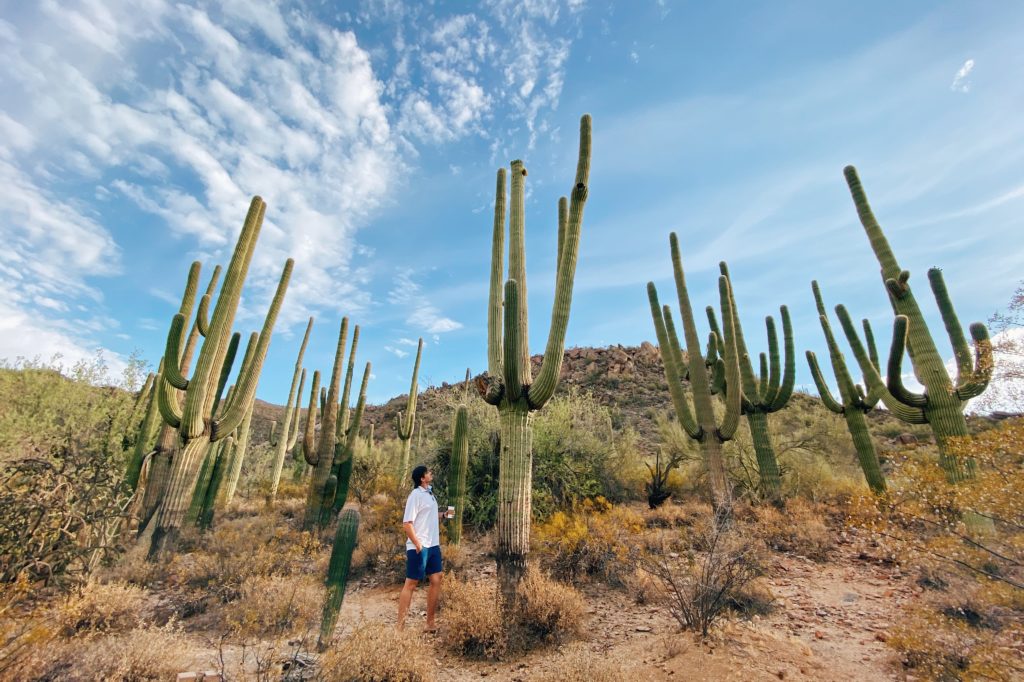 Things To Do At Or Nearby Dove Mountain