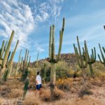 Things To Do At Or Nearby Dove Mountain